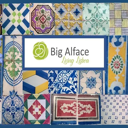 Daire Big Alface *
